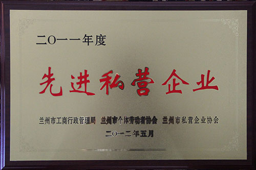 2011������M(j��n)˽�I(y��ng)..